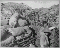 /album/fotogaleria/a9909439-gif/